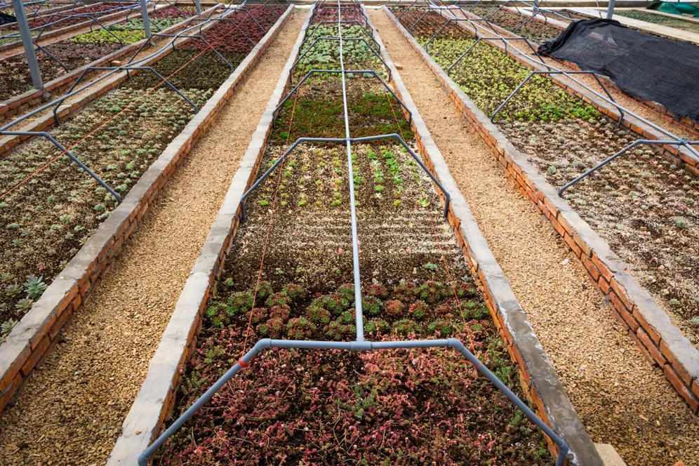 Zaman Ayarlı Sulama Sistemi